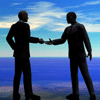 Interim Management